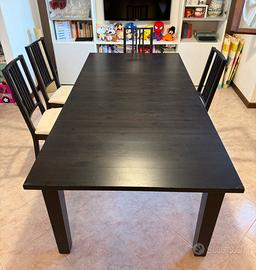 Tavolo allungabile e 8 sedie Ikea