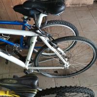 Bici uomo donna bambino 