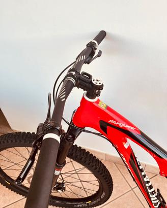 bicicletta specialized carbonio biammortizzata