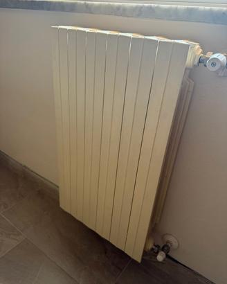 termosifone ghisa