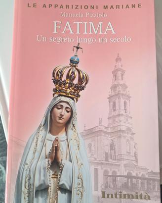 Fatima Lourdes e medjugorje