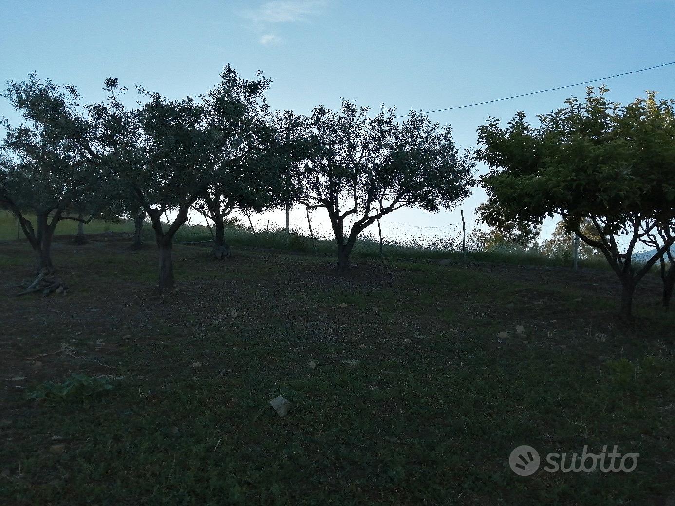 terreno con caseggiato a Bronte - Altro