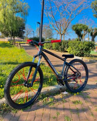 Rockrider 530