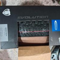 Schwalbe racing ray racing ralph