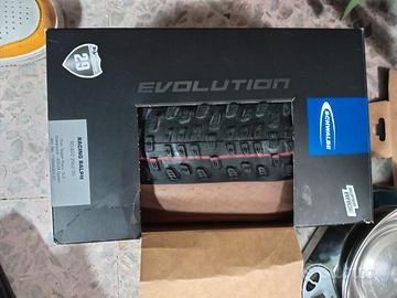 Schwalbe racing ray racing ralph