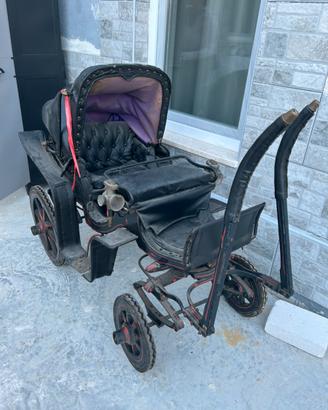 carrozza per pony