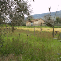 Terreno edificabile con rustico da ristrutturare