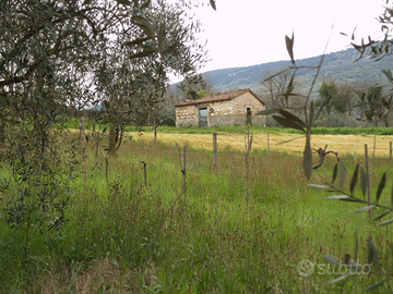 Terreno edificabile con rustico da ristrutturare