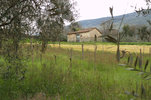 Terreno edificabile con rustico da ristrutturare