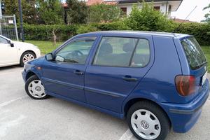 Polo 1000