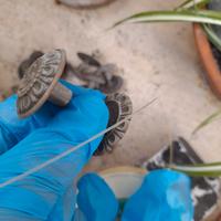 Pomelli ottone vintage