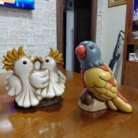 Pappagalli della Thun