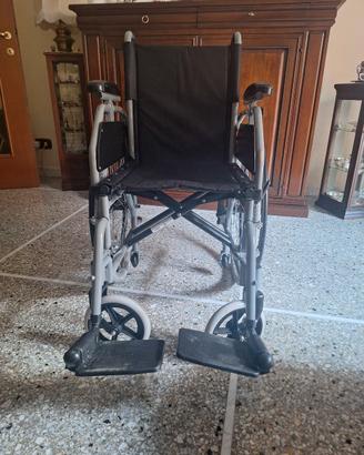 sedia a rotelle 