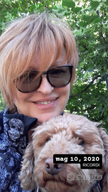 Collaboratrice domestica,dama di compagnia