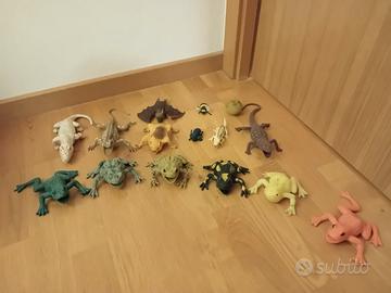 Morbidosi animali antistress