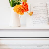 Insegnante pianoforte Trezzano sul Naviglio