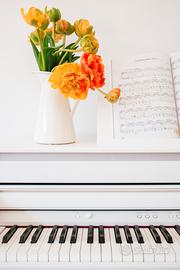 Insegnante pianoforte Trezzano sul Naviglio