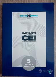 N. 5 PICCOLA INDUSTRIA