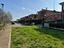 Immagine 7