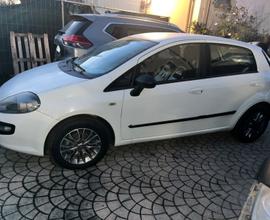 FIAT Punto Evo