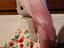 Immagine 6