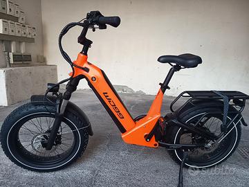 bici elettrica 