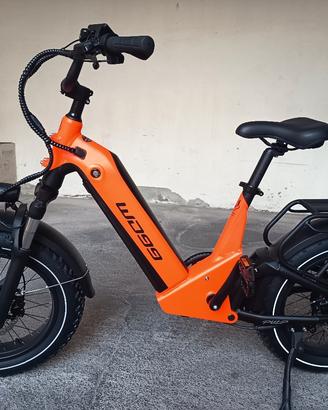 bici elettrica 