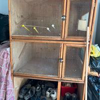 Voliera per pappagalli