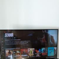 Philips 43 PFS58X3 Smart Tv