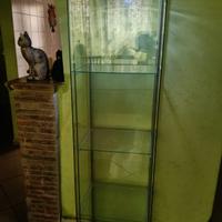 VETRINA CON ILLUMINAZIONE 