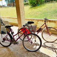 2 Bici + seggiolino