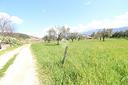 ter-residenziale-a-montalto-uffugo