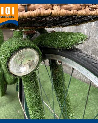 Bicicletta Erbosa
