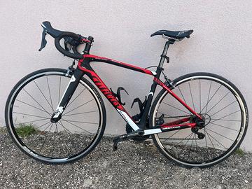 Wilier Triestina GTR  Team