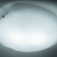 Lampadario sagomato vetro opaco