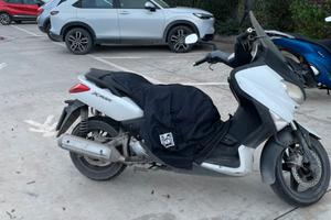 X Max 250 del 2010