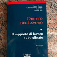 Diritto del lavoro 2, Utet, Decima edizione