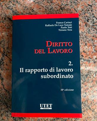 Diritto del lavoro 2, Utet, Decima edizione