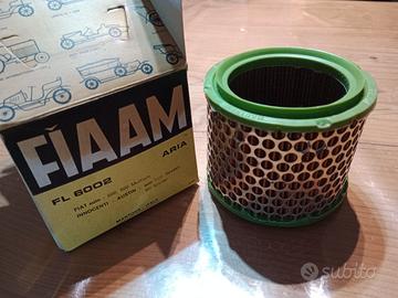 Filtro aria  FIAAM FL 6002