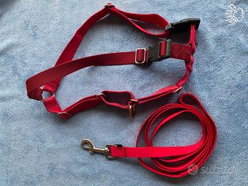Pettorina easy walk
