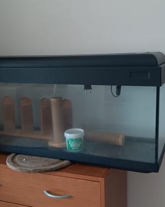 acquario