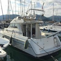 Rodman 900 (NATANTE)