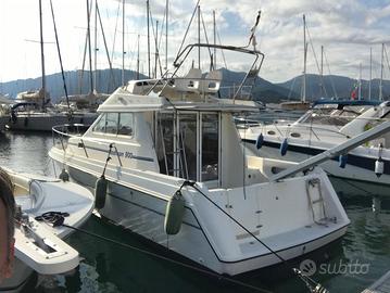 Rodman 900 (NATANTE)