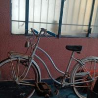 Bicicletta olandese 