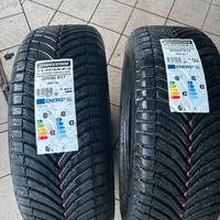 Gomme bridgstone nuove mai usate 4 stagioni da 17”