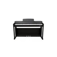 ECHORD DPX100 Satin Black - ESPOSTO NEGOZIO
