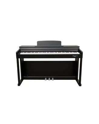 ECHORD DPX100 Satin Black - ESPOSTO NEGOZIO