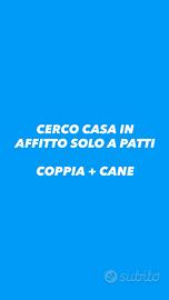 Patti - Coppia affidabile con cane