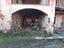 Immagine 2