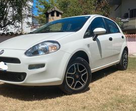 Fiat Punto 1.4 8V 5 porte Natural Power Street